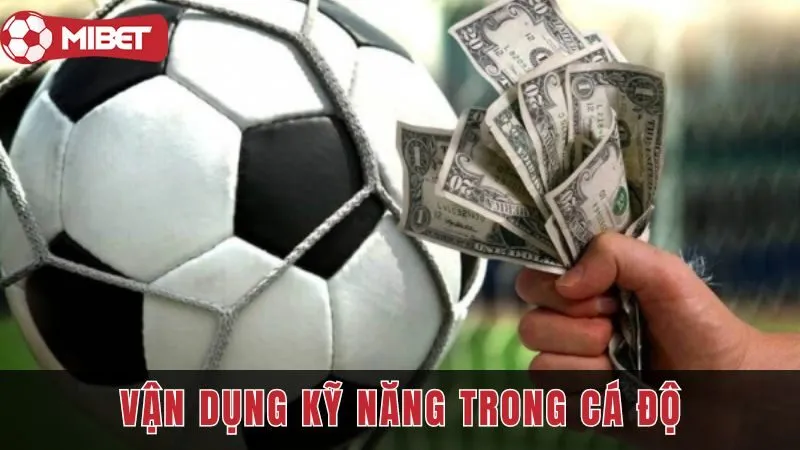 Vận dụng sự may mắn và kỹ năng trong cá độ 